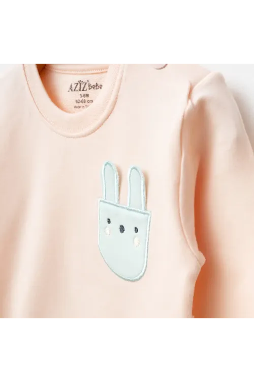 Kız Bebek Animal Desenli % 100 Pamuk Sweatshirt Pantolon 2  li Alt Üst Bebek Takımı 3 Ay-36 Ay