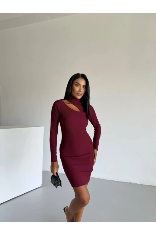Kadın Bordo Boğazlı Uzun Kollu Ottoman Kumaş Elbise HZL25S-FRY123331