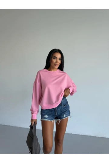 Kadın Pembe Bisiklet Yaka 2 İplik Sweatshirt HZL25W-FRY123391